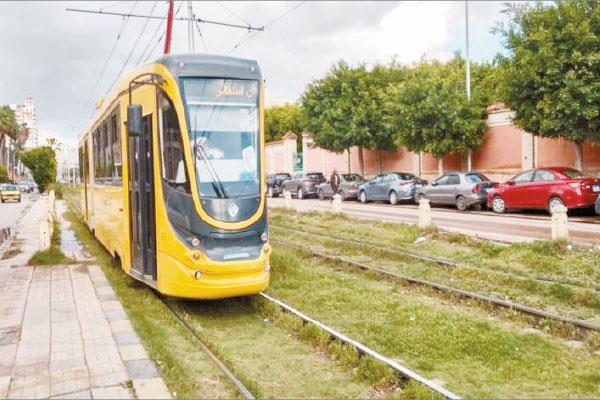 تطوير شامل لترام الإسكندرية