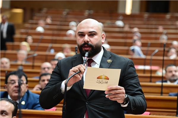  النائب إبراهيم الديب
