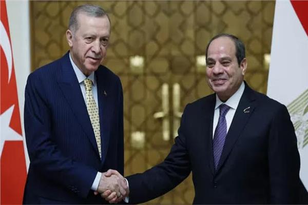 الرئيس عبدالفتاح السيسي واردوغان
