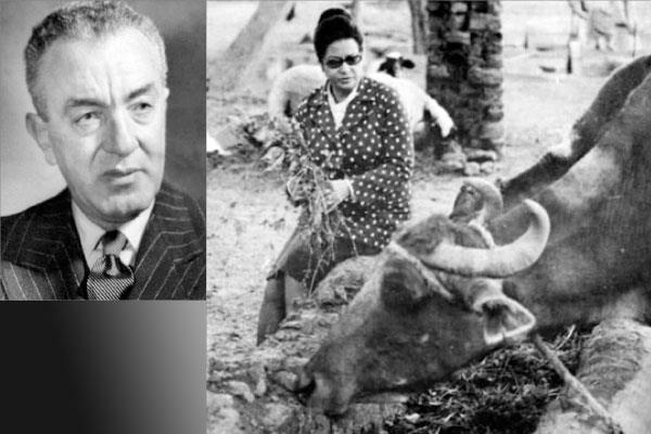 كوكب الشرق التى لم تنفصل عن قريتها - محمد التابعى