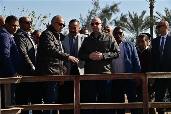 صورة موضوعية 