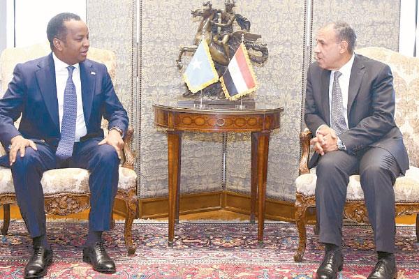 د. بدر عبد العاطى خلال استقباله نظيره الصومالى