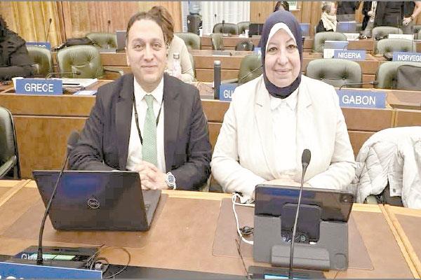 د. منى يحيى والمستشار محمد عادل خلال مشاركتهما فى الاجتماع