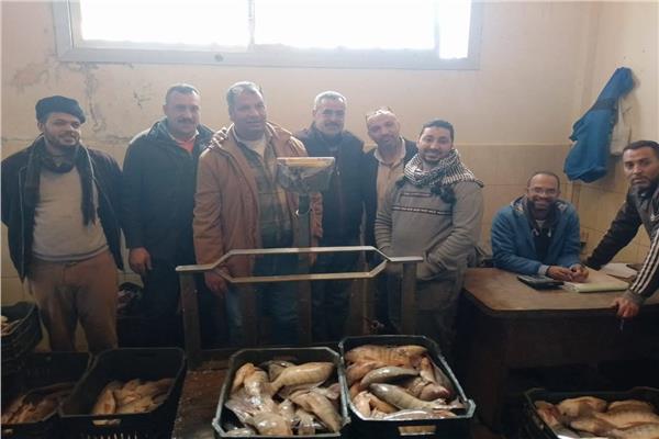  أعمال الحصاد بمزرعة برسيق السمكية