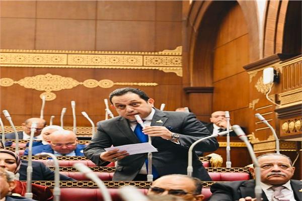  النائب محمد الجندي