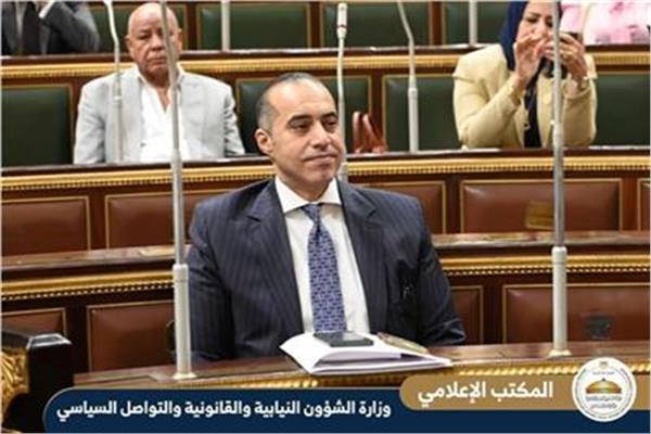  المستشار محمود فوزي