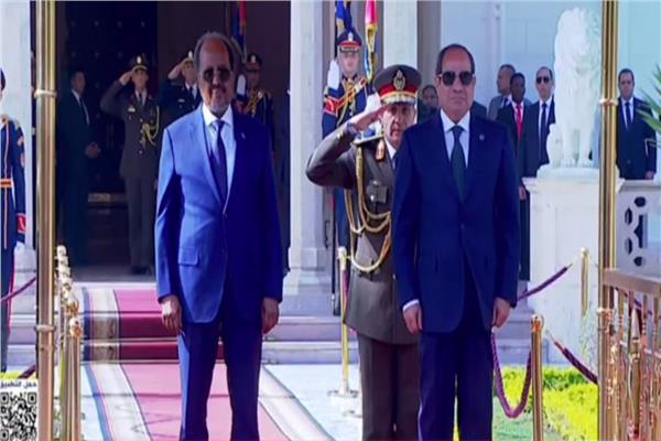 الرئيس عبد الفتاح السيسي