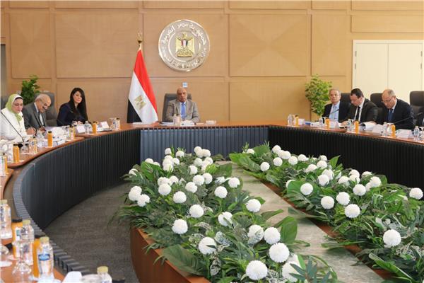 وزير الكهرباء خلال الاجتماع