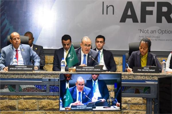 وزير الخارجية والتعاون الدولي والمصريين بالخارج
