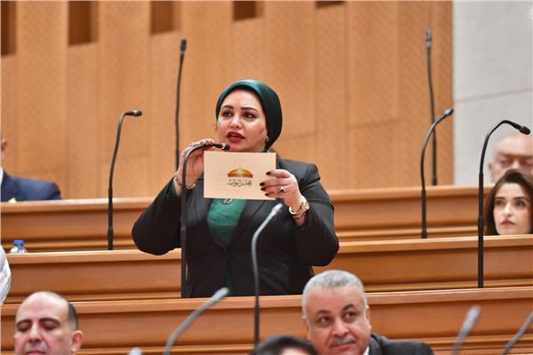 النائبة سولاف درويش