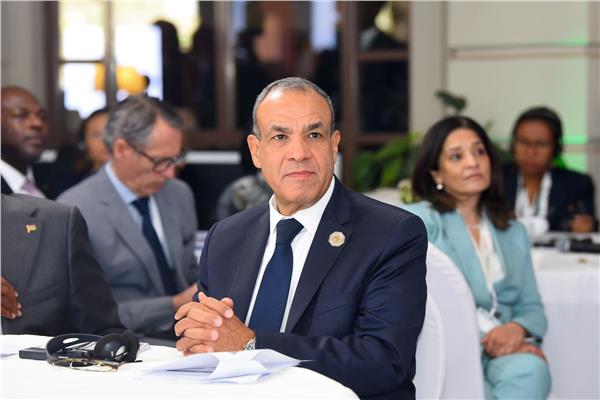 د. بدر عبد العاطي