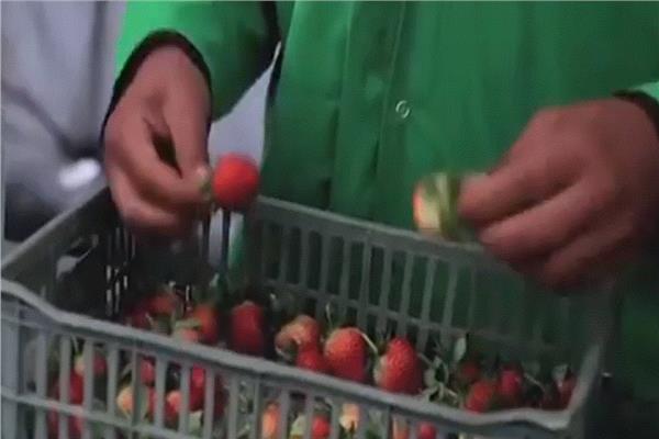 صورة موضوعية