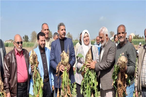  انطلاق موسم حصاد بنجر السكر بالإسماعيلية 