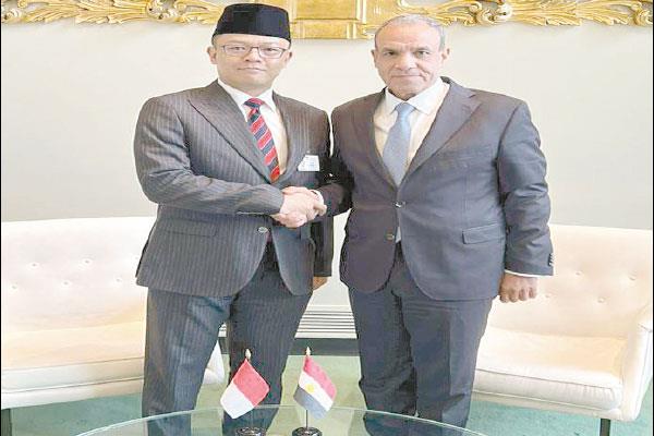  د. بدر عبد العاطى أثناء لقائه مع سوجيونو وزير خارجية إندونيسيا