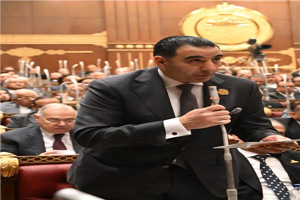 النائب السعيد غنيم، وكيل لجنة الصناعة بمجلس الشيوخ،