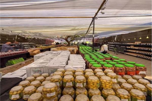 مهرجان الزيتون شهد أسعاراً تنافسية