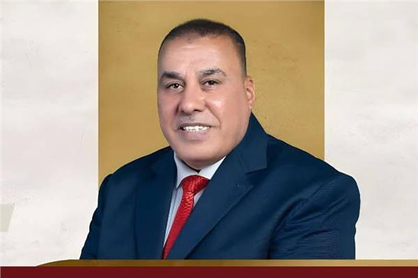 النائب محمد أبو النصر - عضو مجلس الشيوخ