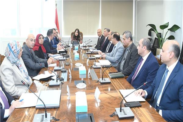 وزيرة الإسكان