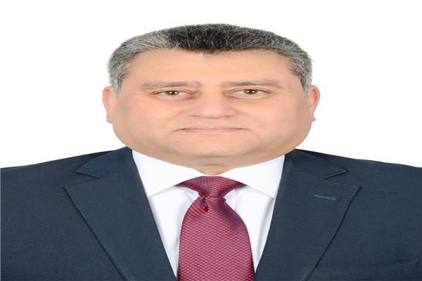 المهندس عمرو محمود نجاتي