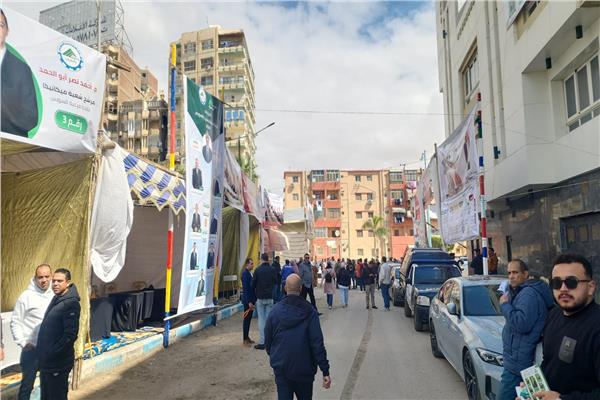 24 مرشحا في التجديد النصفي للمهندسين بالسويس 