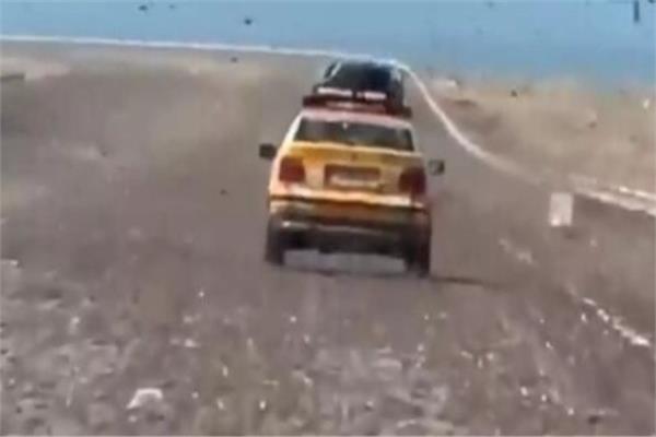 اجتياح أسراب الجراد لجنوب المغرب