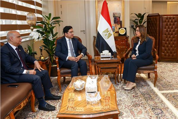 الدكتورة منال عوض وزيرة التنمية المحلية والبيئة