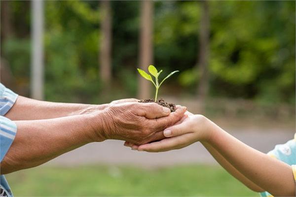 هؤلاء لا يجوز إعطاؤهم الزكاة.. الأزهر للفتوى يوضح