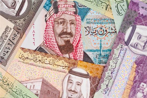  العملات العربية