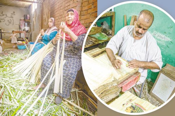 قرية القراموص بمحافظة الشرقية بزراعة وصناعة ورق البردى وتصديره إلى دول العالم