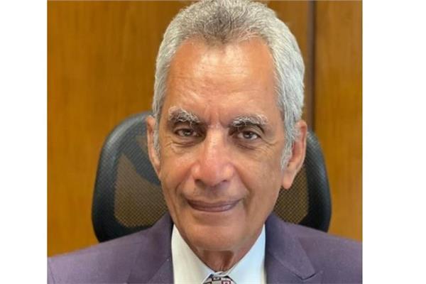 وزير شئون المجالس النيابية