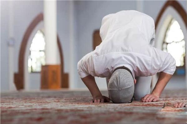 صورة موضوعية