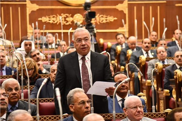  النائب عصام خليل عضو مجلس الشيوخ