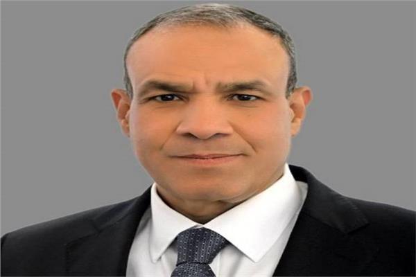د. بدر عبد العاطي وزير الخارجية