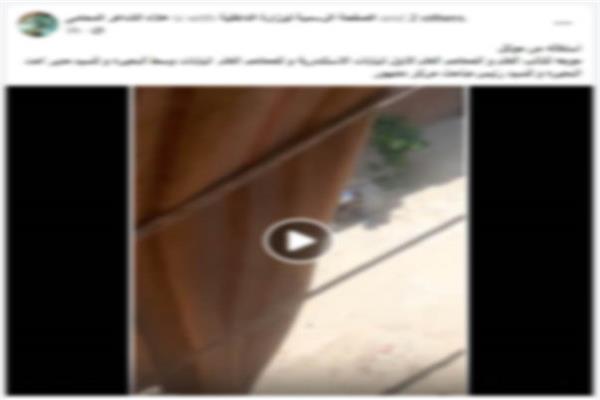 صور من الواقعة