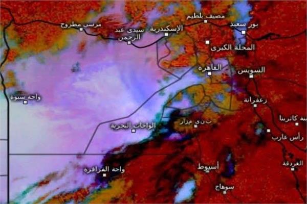 موضوعية