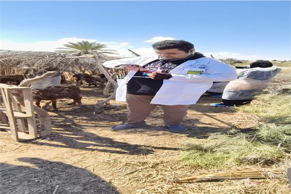 برنامج لتحسين الحالة الصحية للثروة الحيوانية بشمال سيناء 
