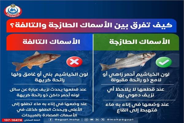 كيفية التفرقة بين الأسماك الطازجة والفاسدة لحماية المواطنين