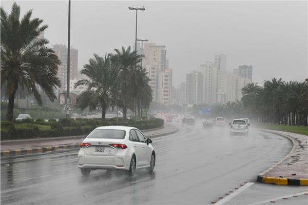 موضوعية