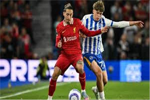 ليفربول وبرايتون 
