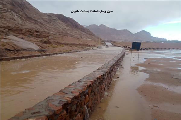 سيول