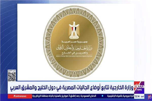 الخارجية  لشؤون القنصلية والمصريين في الخارج
