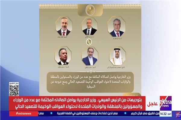 الدبلوماسية المصرية