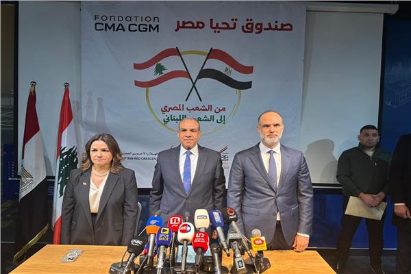 وزير الخارجية  الدكتور بدر عبدالعاطى
