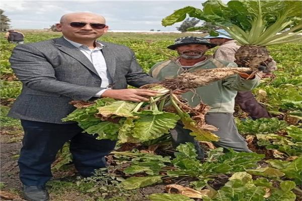 المهندس حسام محفوظ وكيل وزارة الزراعة بمحافظة الغربية