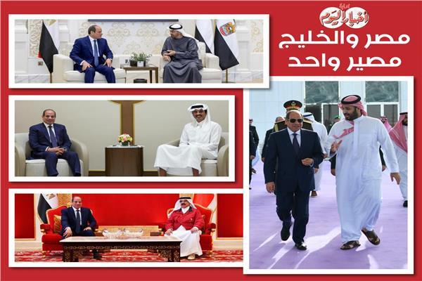 الرئيس السيسي خلال لقاءاته بالقادة العرب