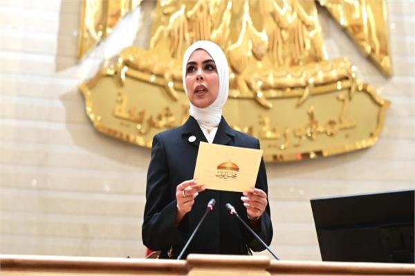 النائبة سجى عمرو هندي، عضو مجلس النواب