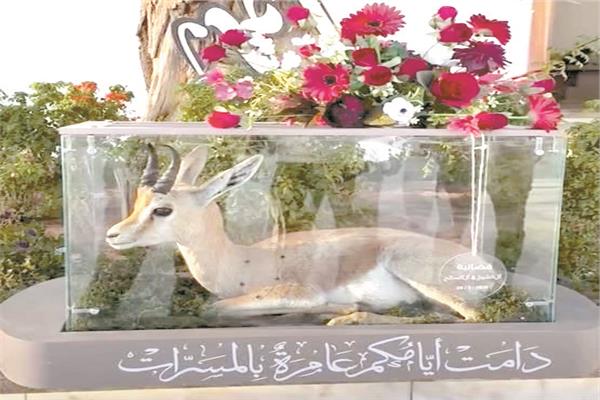 غزلان دوركاس