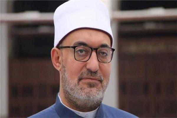  نظير محمد عياد، مفتي الجمهورية