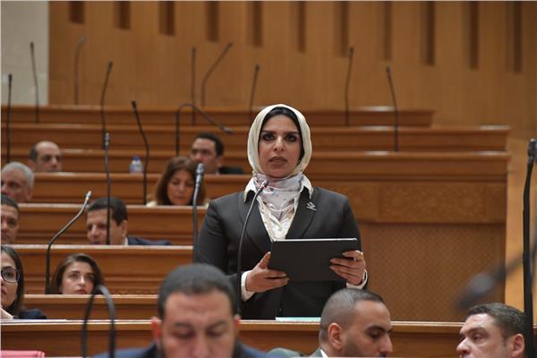 الدكتورة مروة حلاوة عضو مجلس النواب 