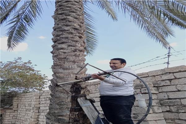 صورة موضوعية